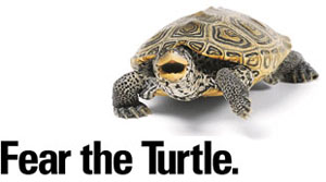University of Maryland Fear the Turtle